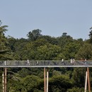 Une promenade en tête-à-tête avec les arbres Glenn Howells Architects Stihl Treetop Walkway
