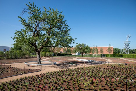 Piet Oudolf réalise le Perennial Garden du Vitra Campus de Weil am Rhein

