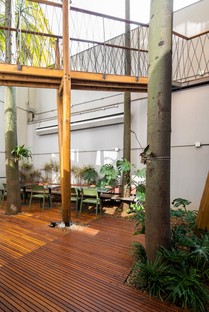 Superlimão les nouveaux bureaux de Populos à São Paulo avec cabane dans l'arbre
