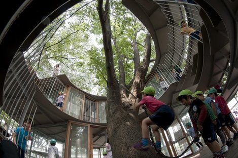 Tezuka Architects - Anneau autour de l'arbre. (c) Katsuhisa Kida/FOTOTECA
