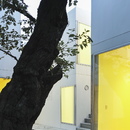 Chiba Manabu : Sugar Housing dans une galerie d’art de Tokyo
