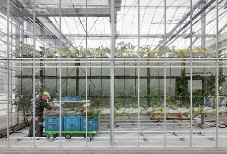 Les cabinets van Bergen Kolpa et META signent le centre de recherche Agrotopia pour l’horticulture urbaine
