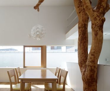 Ogawa : la nature et l'architecture dans la maison avec des arbres à Kagawa
