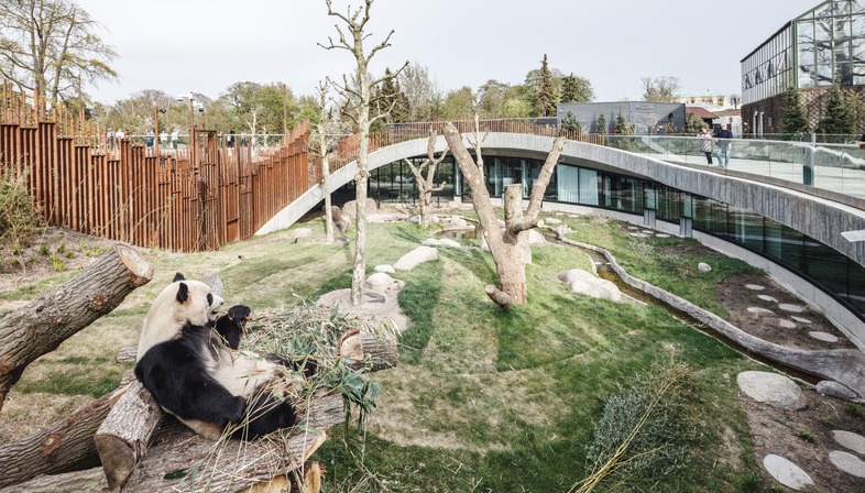 Coffrages en bambou pour la Panda House yin et yang signée BIG
